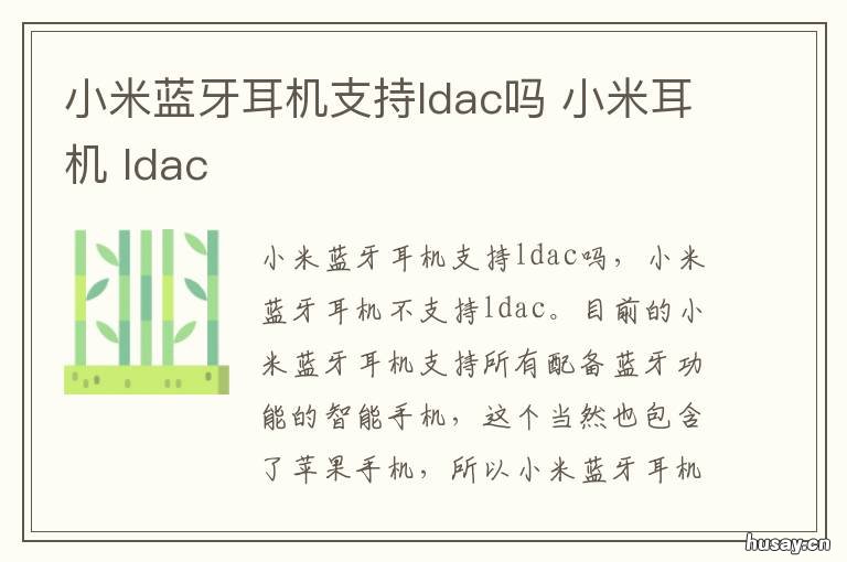 小米蓝牙耳机支持ldac吗 小米10至尊版蓝牙连接为什么不是ldac
