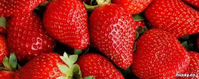 草莓有几种 草莓有几种品种?