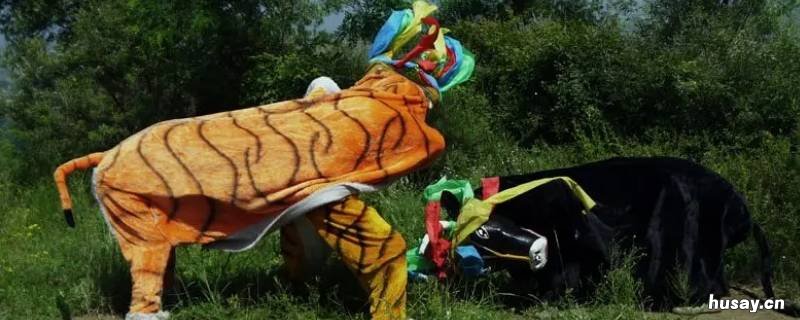 乐曲牛斗虎属于什么 乐曲牛斗虎属于什么骨