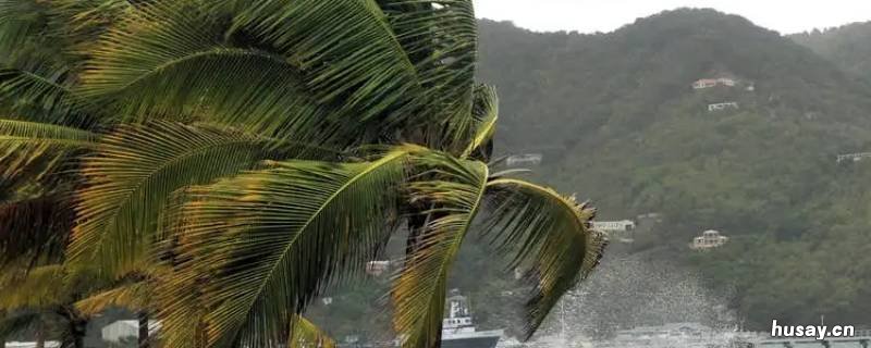 记录风的大小是依据什么风力等级表 我们记录风的大小是依据什么风力等级