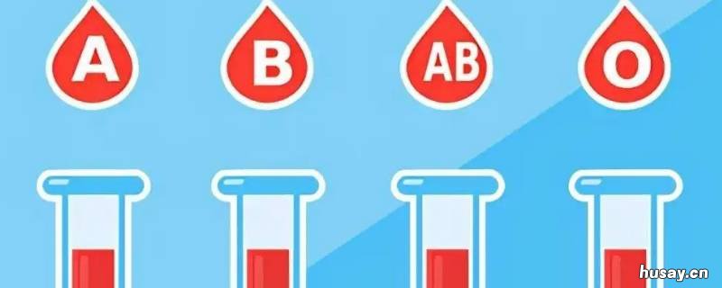 什么档案上有血型记录 以前做过血型检查在网上怎么查自己的血型档案