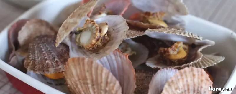 扇贝如何处理干净 扇贝如何处理干净图片