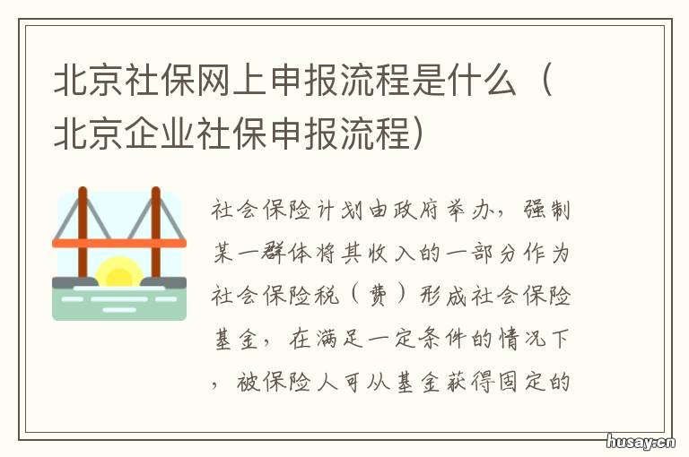 北京社保网上申报流程是什么 北京社保网上申报流程是什么意思