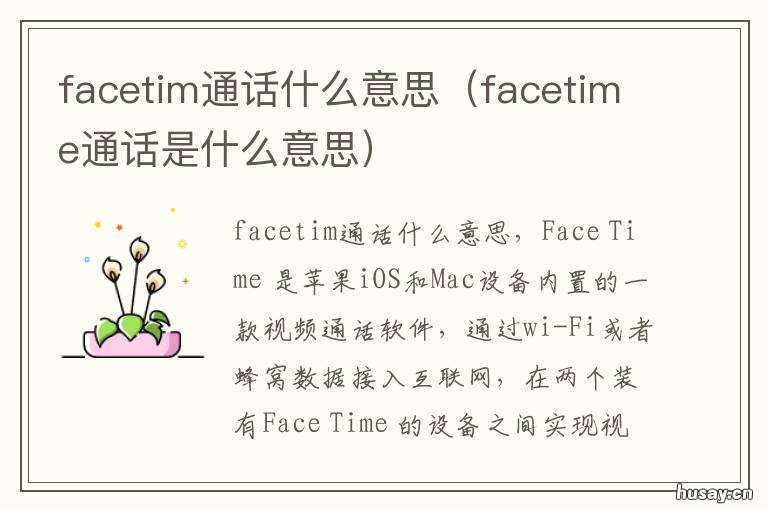 facetim通话什么意思