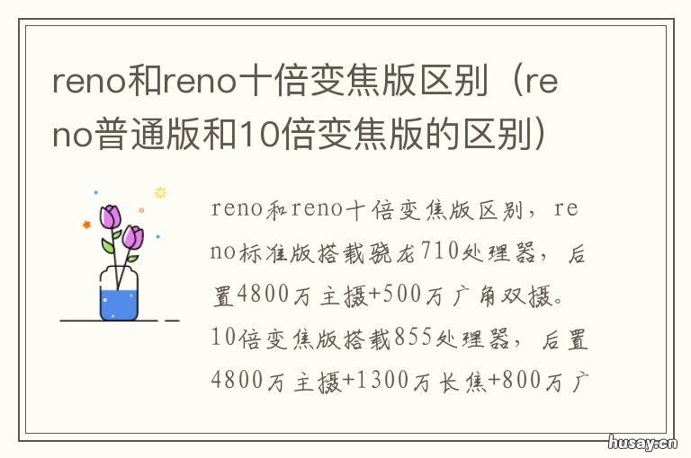reno和reno十倍变焦版区别 reno对比reno十倍变焦