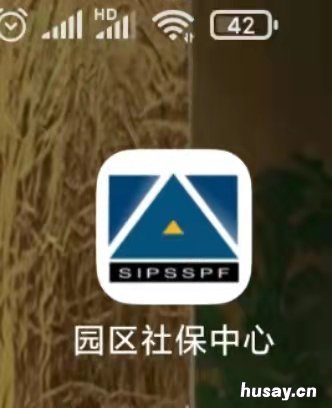 苏州工业园区医保线上查询指南 苏州园区医疗保险查询