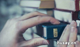 举例说明什么是审计标准 标准的审计报告是指什么