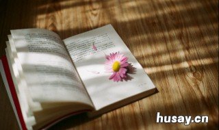 羊脂球经典语录 羊脂球最后一句话