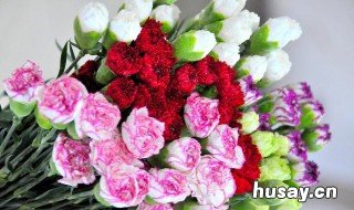 妇女节送什么花好 妇女节送花好吗