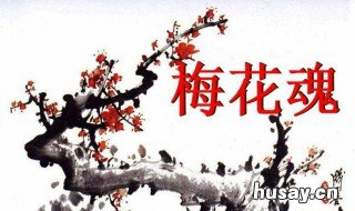 梅花魂中外祖父把什么寄托在梅花上 外祖父把什么寄托在梅花身上