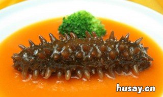 西红柿和海参能在一起吃吗 西红柿与海参可以一起吃吗