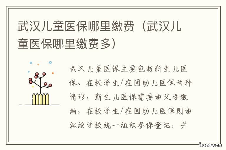 武汉儿童医保哪里缴费 武汉小孩的医保缴费方式