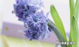 温柔很仙的宝藏句子 温柔很仙的宝藏短句