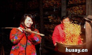 填仓节是传统节日吗