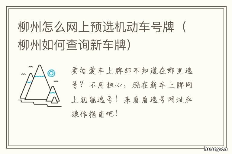 柳州怎么网上预选机动车号牌 广西柳州什么车牌