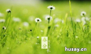 惊蛰之后是什么节气 惊蛰之后是什么节气是立春吗