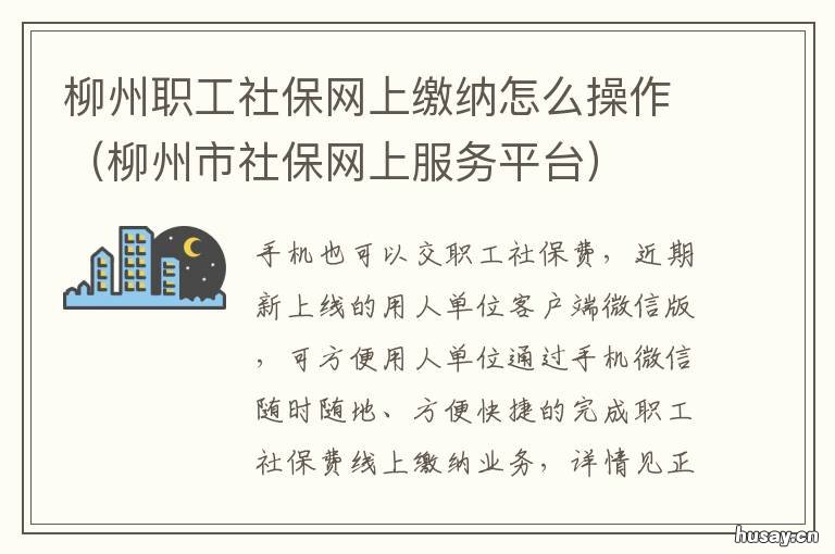 柳州职工社保网上缴纳怎么操作 柳州社保怎么网上缴费