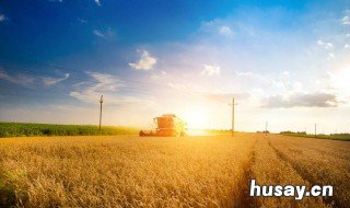 一亩地等于多少平方米 一亩地等于多少平方米?什么时候学的