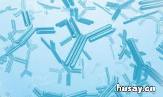 抗体是怎么产生的 新冠肺炎的抗体是怎么产生的