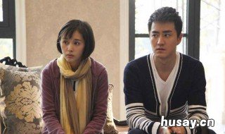 丁曼万天野什么电视剧 万天野是什么电视剧