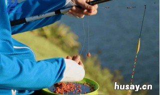 初春钓鱼技巧如何调漂 初春钓鱼技巧如何调漂最好