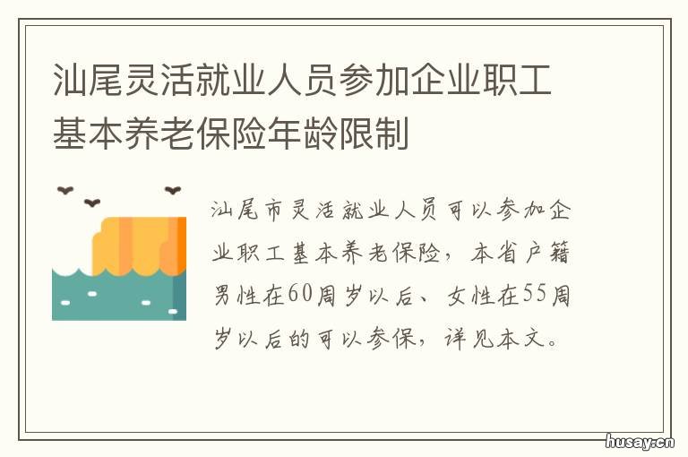 汕尾灵活就业人员参加企业职工基本养老保险年龄限制 汕尾灵活就业人员养老保险政策