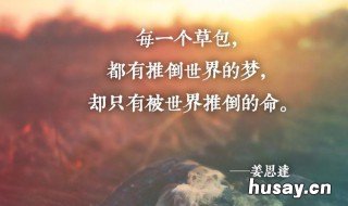 心灵鸡汤是什么意思 女人说的心灵鸡汤是什么意思