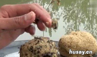 鱼饵里可以加紫菜吗 用紫菜钓鱼好使吗