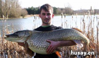 如何制作路亚鲶鱼饵 如何制作路亚鲶鱼饵视频