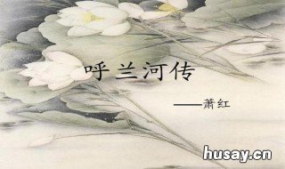 呼兰河传第三章主要内容 呼兰河传第三章主要内容400字