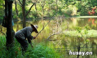 钓鱼有水草怎么办 野钓有水草怎么办