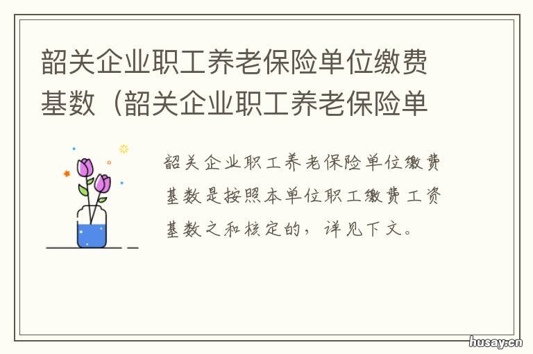 韶关企业职工养老保险单位缴费基数 韶关企业职工养老保险单位缴纳比例