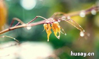 有哪些击中你内心阴暗处的句子 每个人都有阴暗面的名句