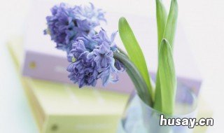 2020年吸引人的个性签名 2020年吸引人的个性签名幽默