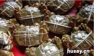 十亩螃蟹养殖利润 十亩螃蟹养殖利润有多少