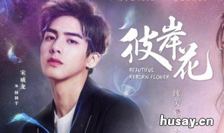 电视剧彼岸花演员表 彼岸花电视剧女主角是谁