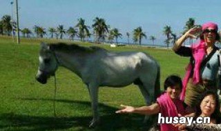 菲律宾少女骑马技巧 菲律宾少女骑马技巧图解