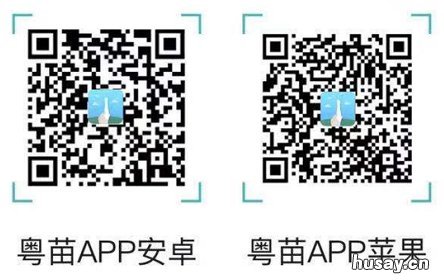 揭阳市宫颈癌hpv疫苗粤苗APP预约操作指引 揭阳市宫颈癌hpv疫苗粤苗app预约不上