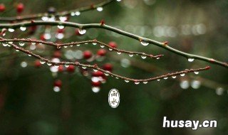 雨水中含有哪些成分 雨水有啥成分