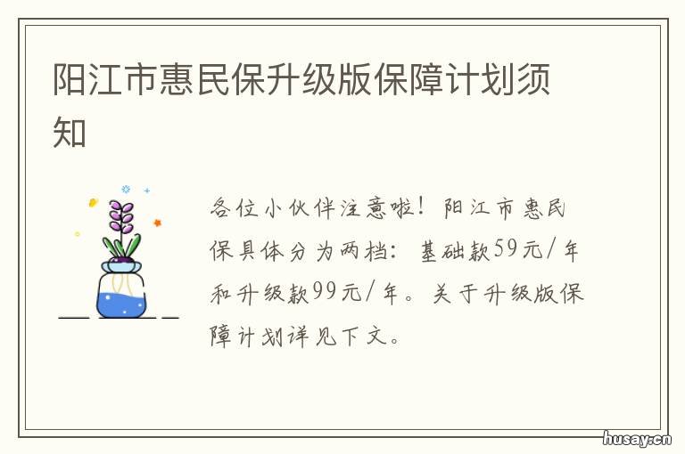 阳江市惠民保升级版保障计划须知