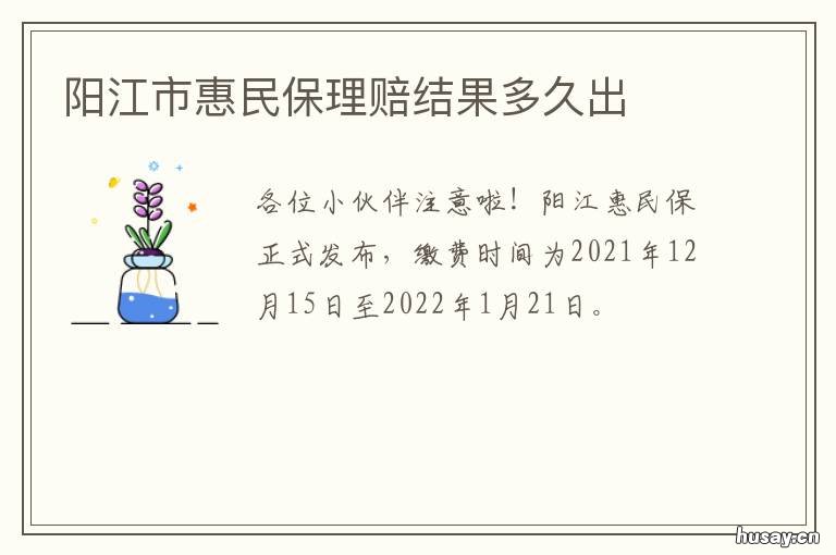 阳江市惠民保理赔结果多久出