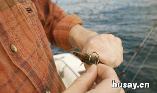 鱼钩离铅坠多远 一般铅坠离鱼钩要离多远