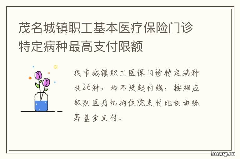茂名城镇职工基本医疗保险门诊特定病种最高支付限额 茂名城乡医疗医保地点