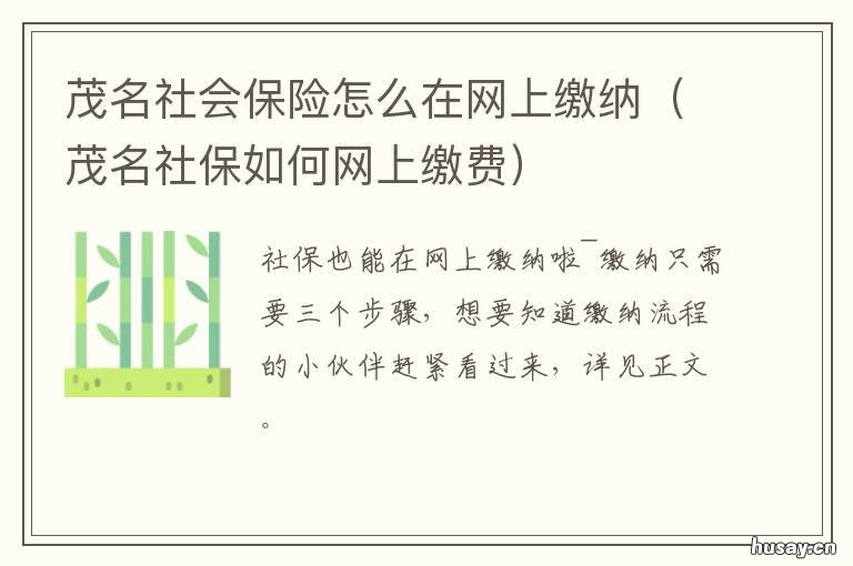 茂名社会保险怎么在网上缴纳 茂名社保服务中心