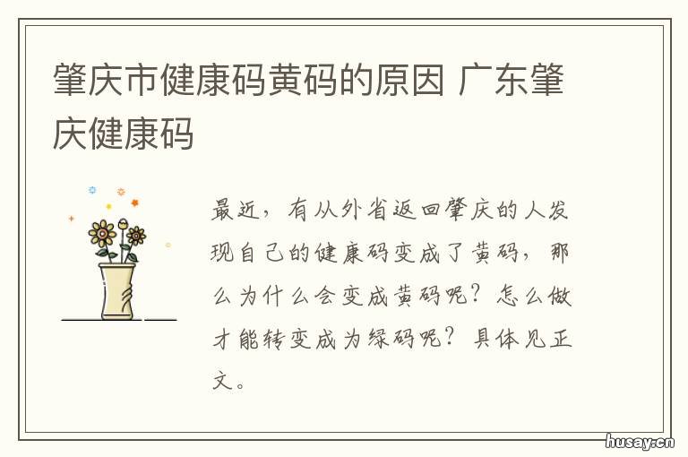肇庆市健康码黄码的原因 肇东健康码