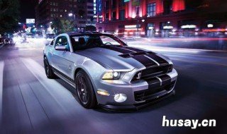 野马车是哪个国家的? 野马车是哪个国家的品牌