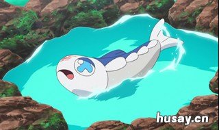 神奇宝贝第七部叫什么 神奇宝贝第8部