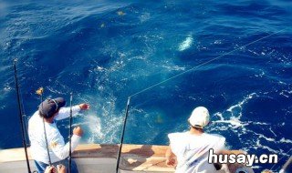 怎样使用海钓手把轮 手握轮钓鱼怎样使用