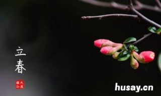 早立春与晚立春区别 今天立春是早立春还是晚立春