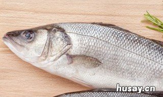 钓鲤鱼鱼饵配方 钓鲤鱼鱼饵配方绝技